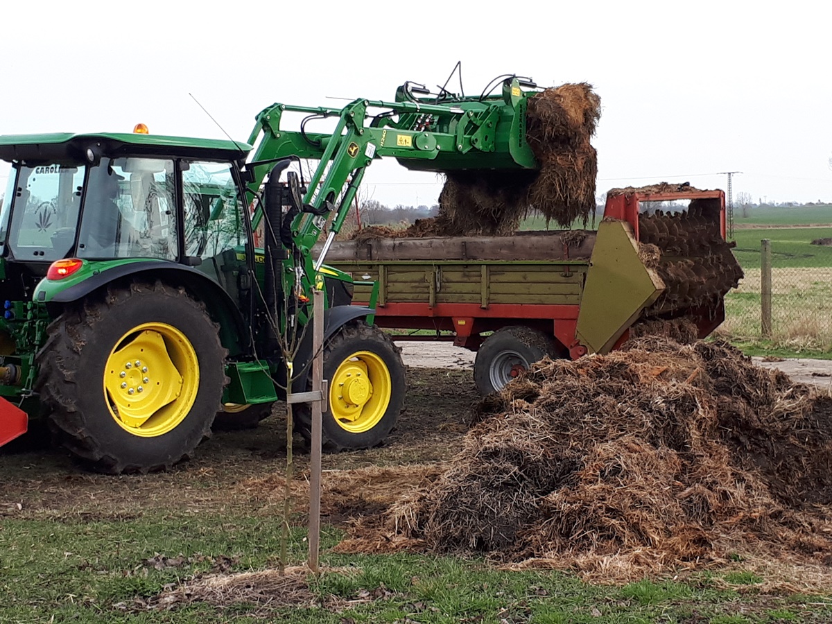 Fixing the compost beds with a manure spreader