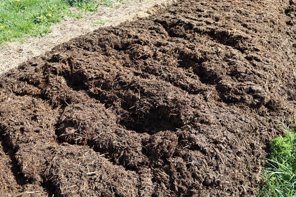 Compost bed has grooves after tilling with a rotary tiller